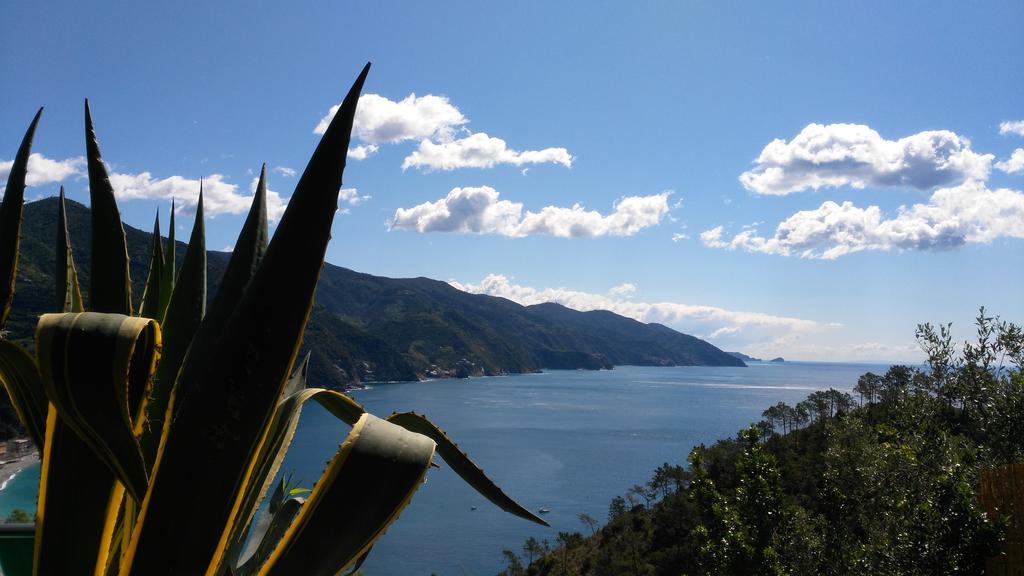 Suisse Bellevue Monterosso al Mare